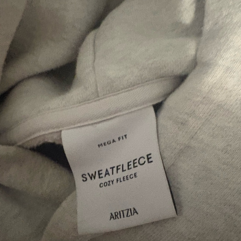 Aritzia Sweatfleece in Light Gray